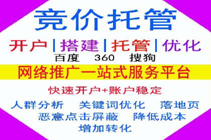 体育赛事宣传中的SEM托管服务：从策划到执行
